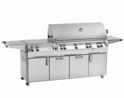 Fire Magic Echelon "A" 1060s Portable Grill, Power Burner, One Infrared